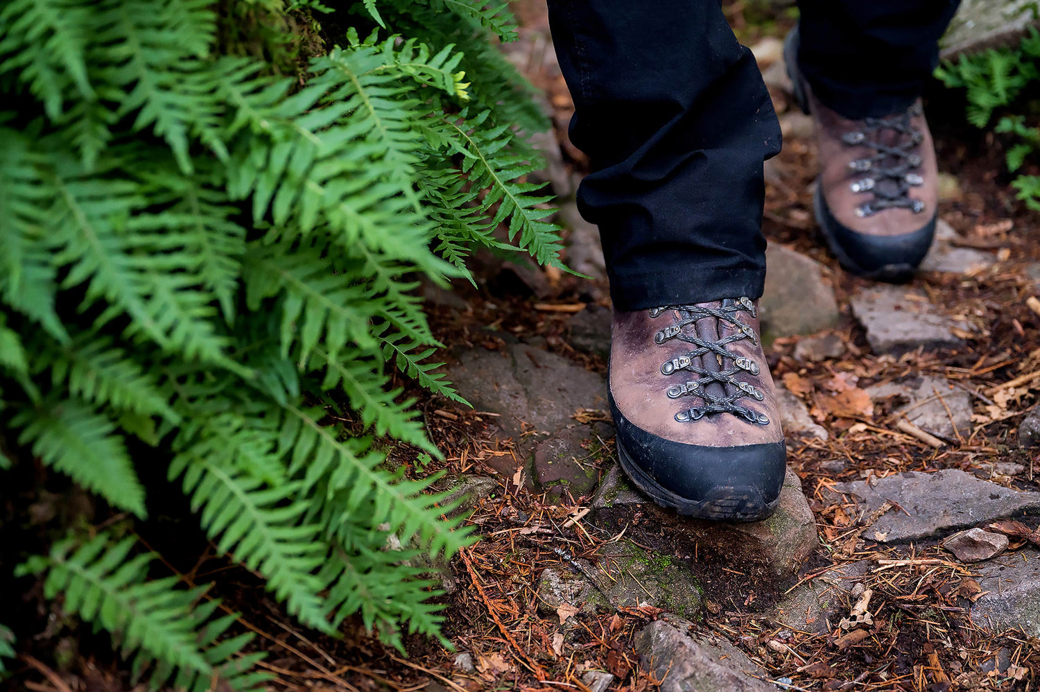 Close up of hiking boots on a trail. Green ferns are shown on the left hand side of the image.