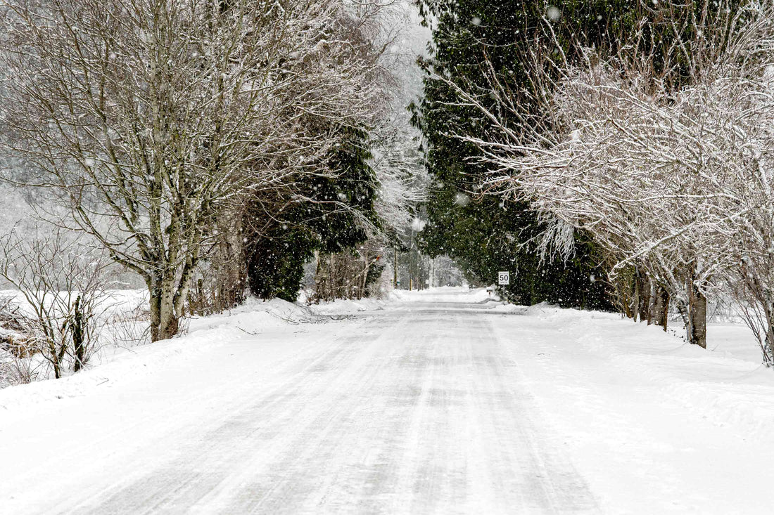 A Cozy Winter Wonderland Awaits at The Antler House!