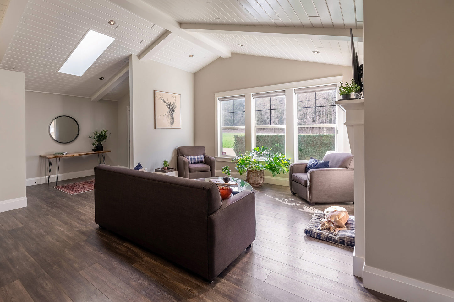Wide angle view of pet-friendly living room with dog laying in front of fireplace.  